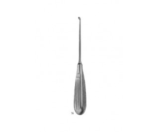 DAUBENSPECK
